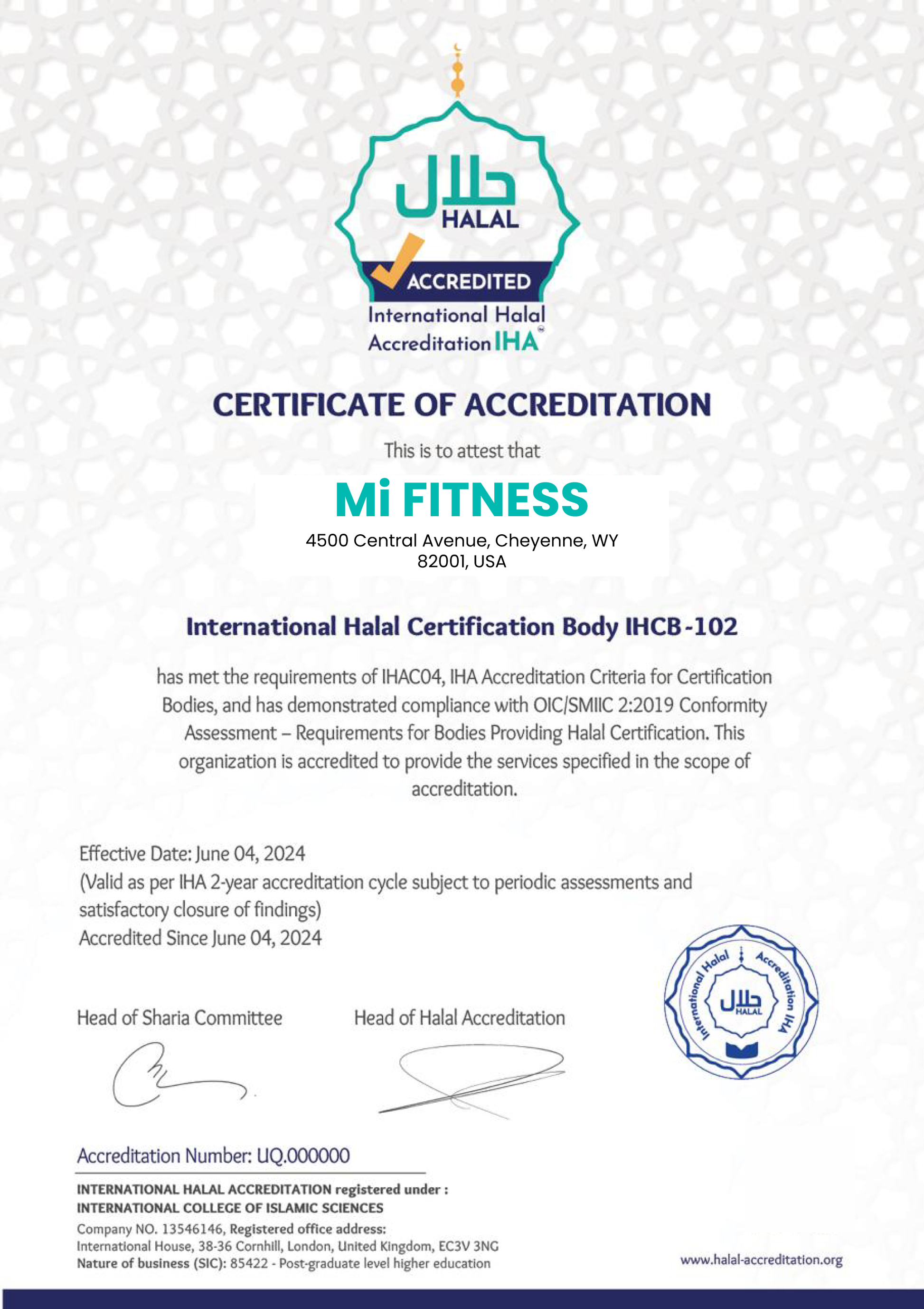 Whey Protein Overnight Oats – Blueberry 800g - mi Fitness