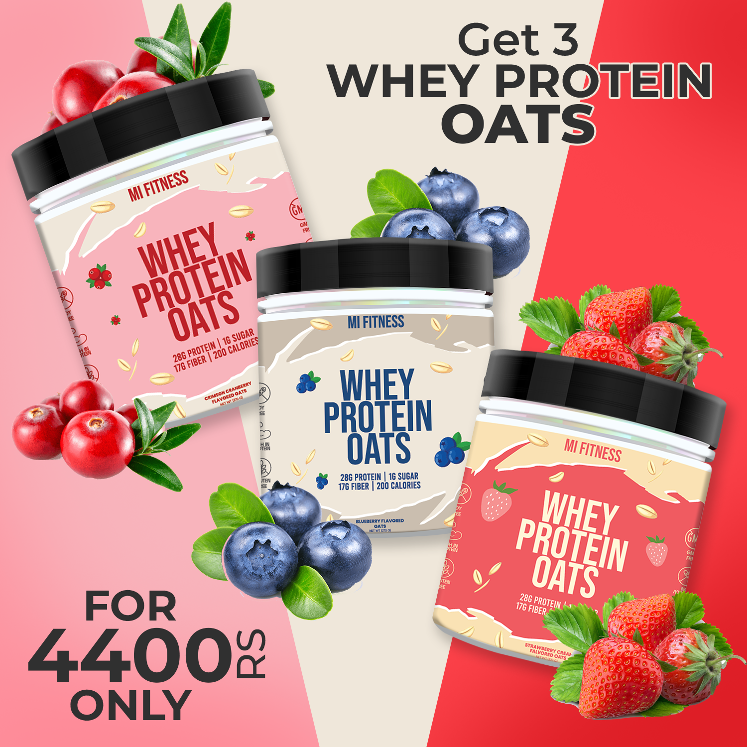 Whey Protein Overnight Oats Bundle Trio - Mi Fitness® - mi Fitness